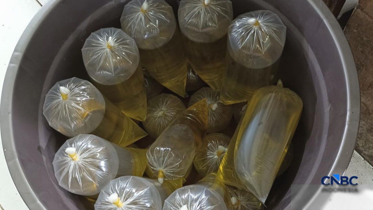 Operasi Minyak Goreng Subsidi Sita Rp2,7 Miliar, Coretax Targetkan Reformasi Pajak